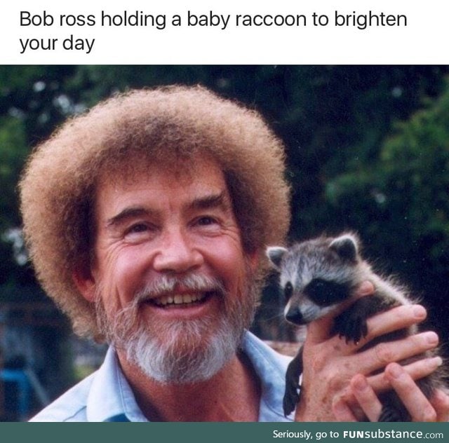 Bob Ross holding a baby raccoon