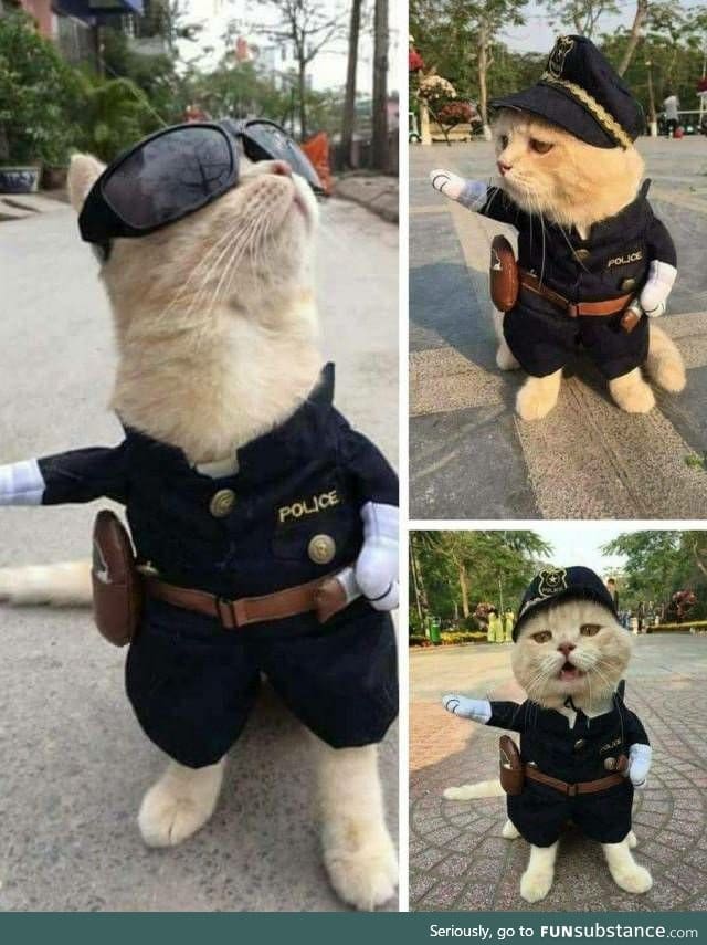 Police cate