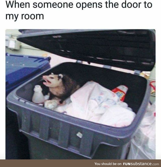 Get out of mah trash