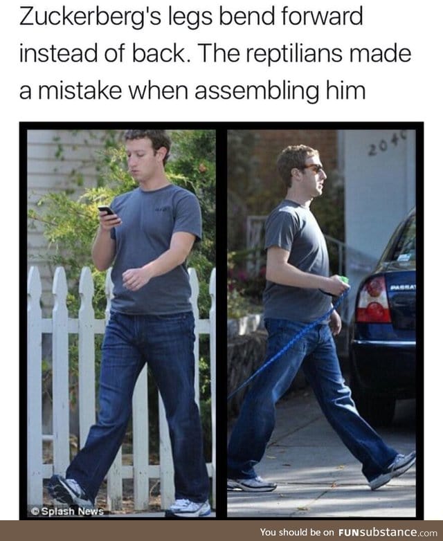 Mark Zuckerberg may not be human