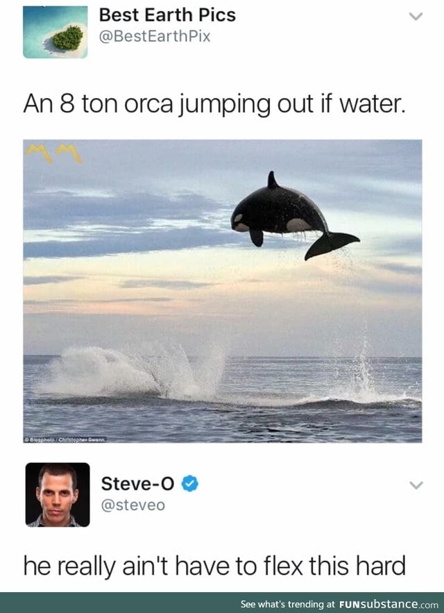 Who's he trying to impress