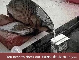 Keep yourself hydrated