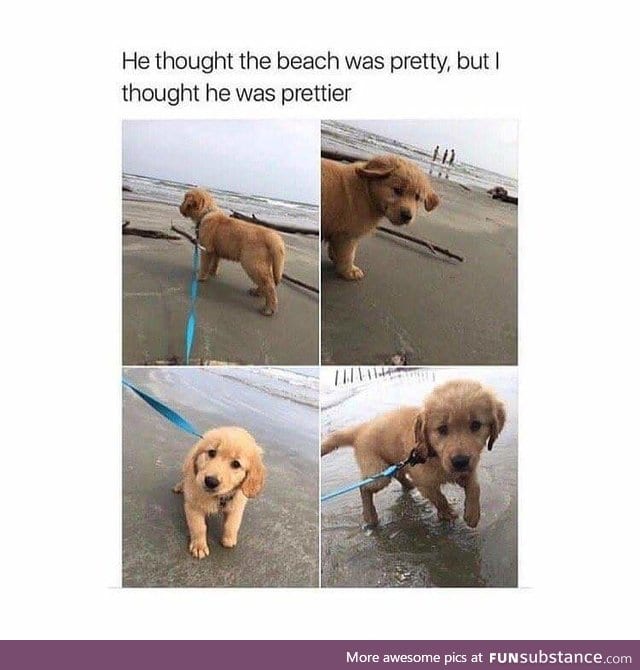 Beautiful