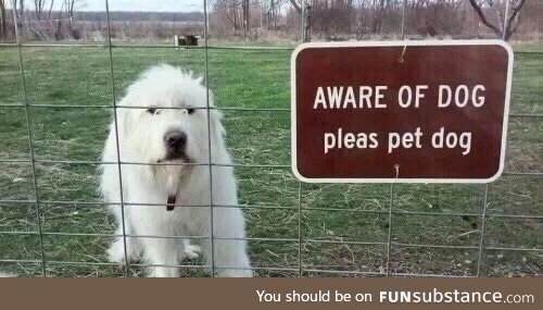 Lift him from his misery