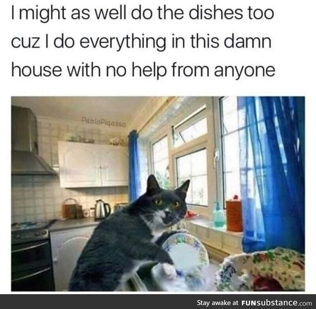 Why ya'll bullying the cat?