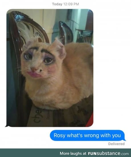 This poor cat