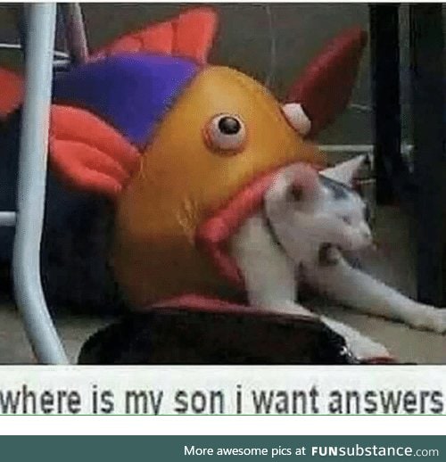 Finding Nemo is just Taken with fish