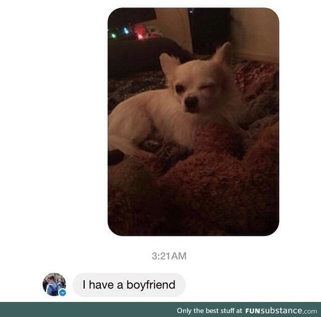 But is your boyfriend a dog?