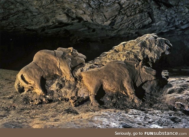 14000 years old bisons sculptures found in Le Tuc d'Audoubert cave. Ariege, France