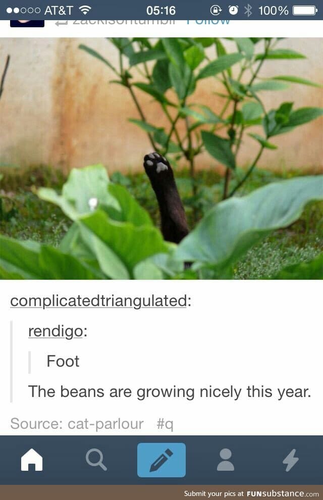 The plant has a question