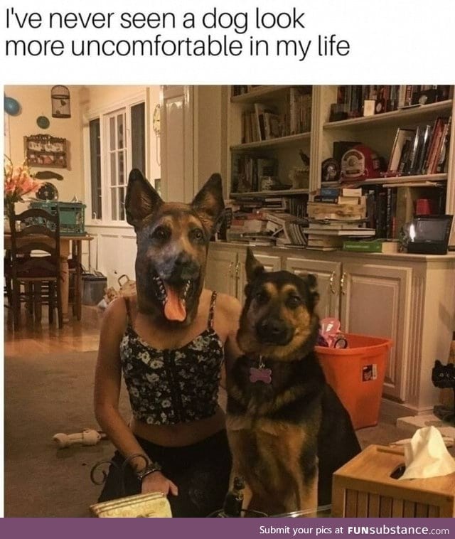The dog is dying inside