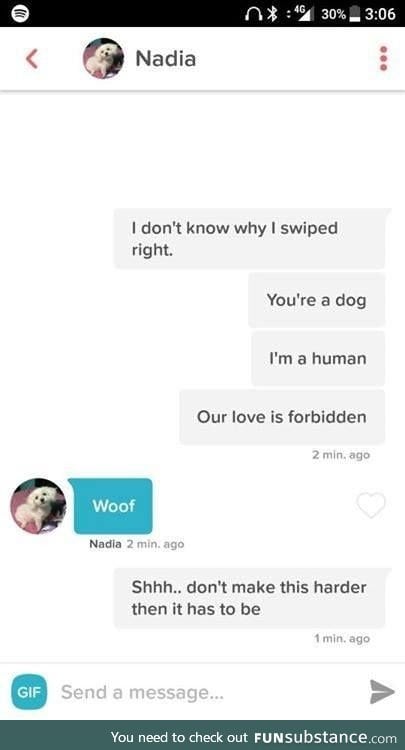 Nadia is one spicy doggo