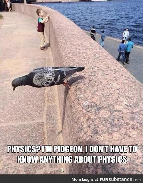 Pigeon and physics