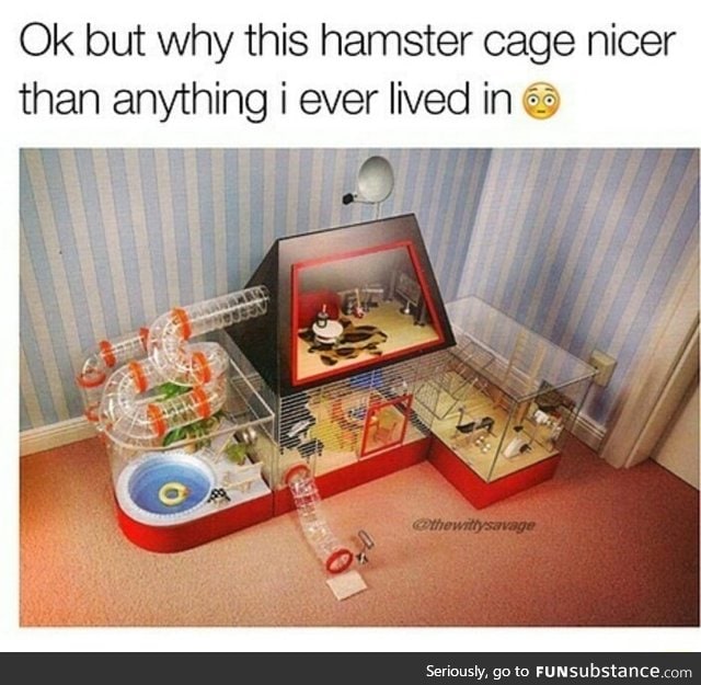Rich hamster house