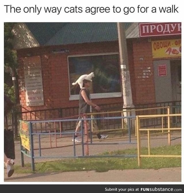 Ride forth
