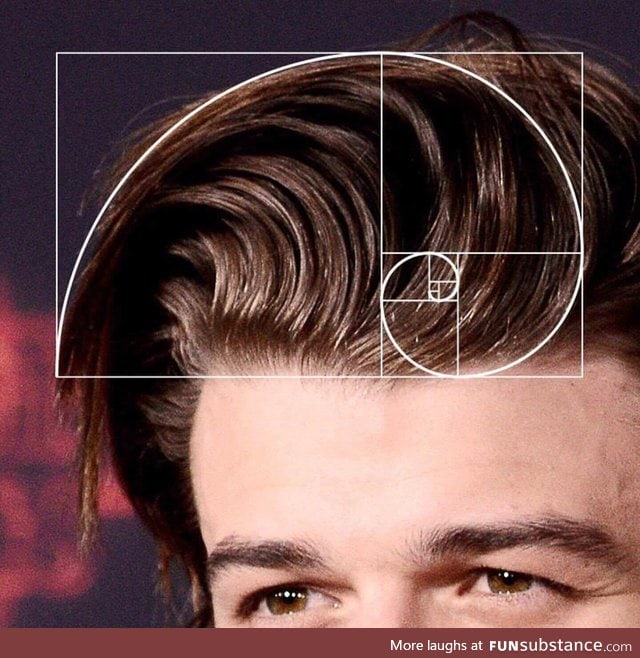 Mathematically perfect hair