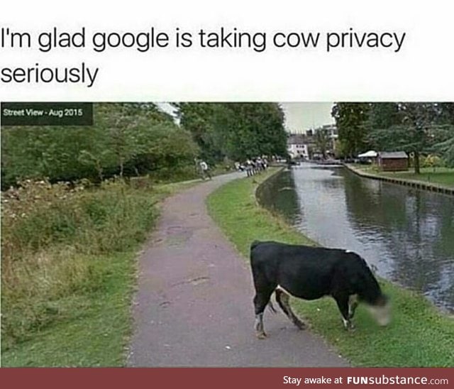 Animals have rights too