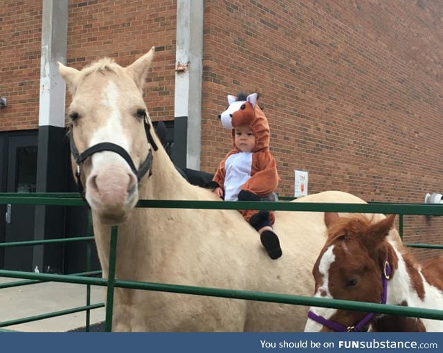 He's dressed as a horse riding a horse