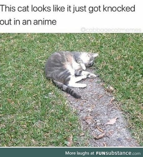 Defeat