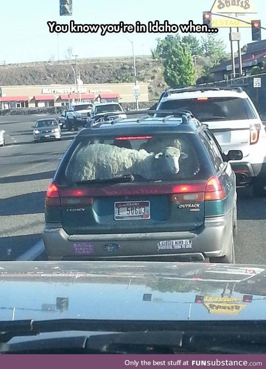 Idaho is a very special place