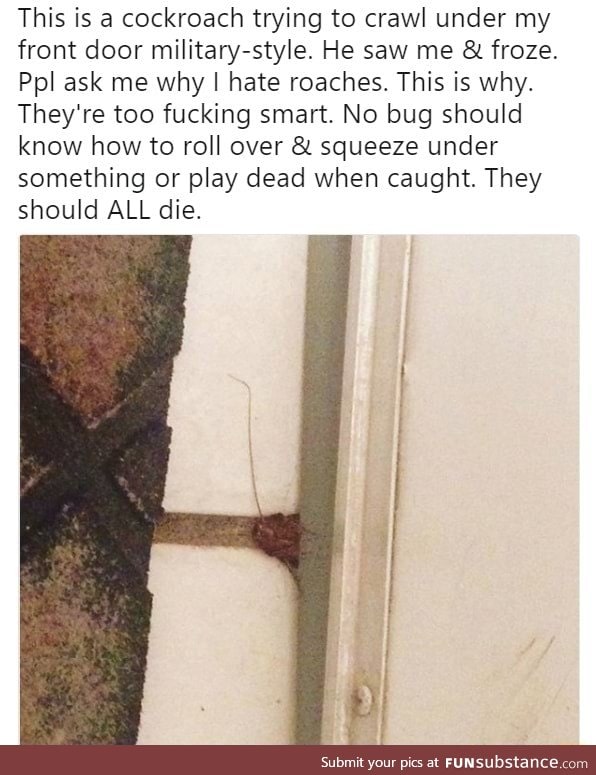 Smart c*ckroaches