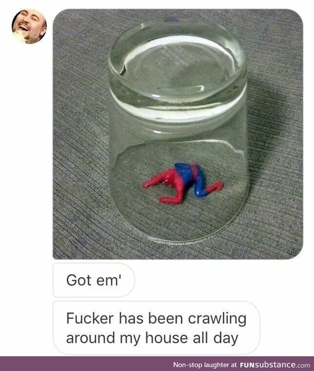 Got the spider