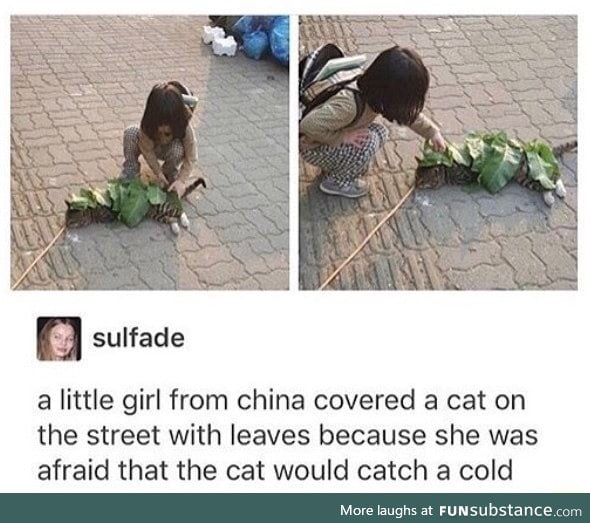 I'm surprised the cat did not kill her