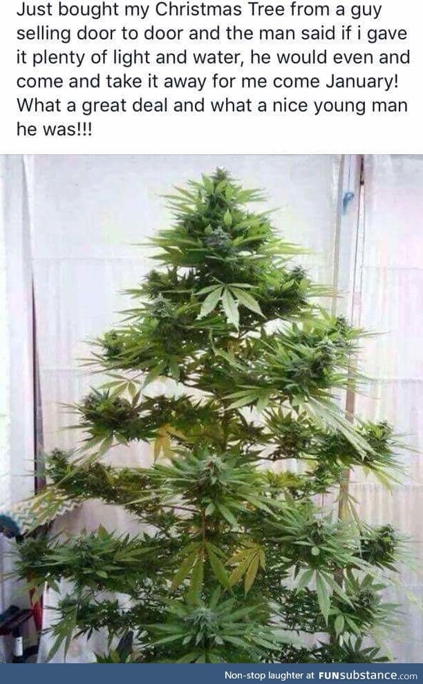 What a nice young man!