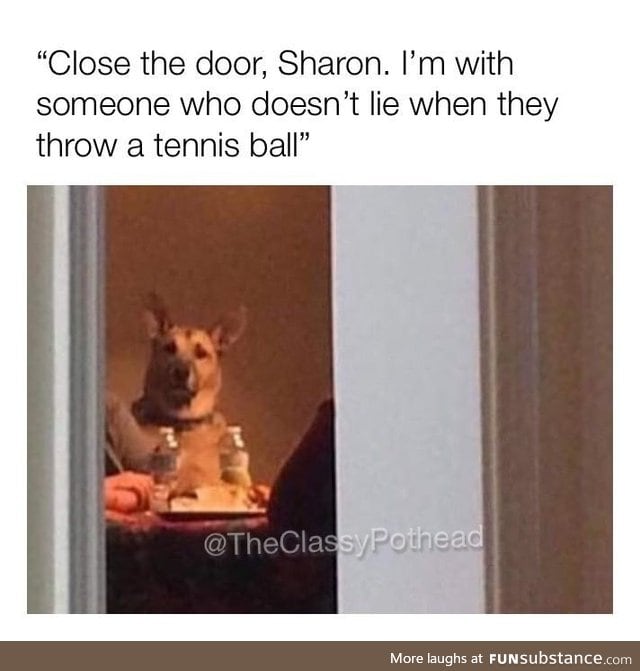 Damn it Sharon