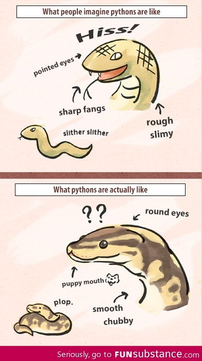 What pythons are really like