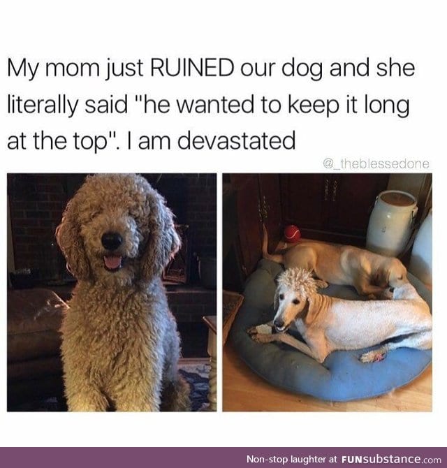 When Mom Knows How to Trim :P