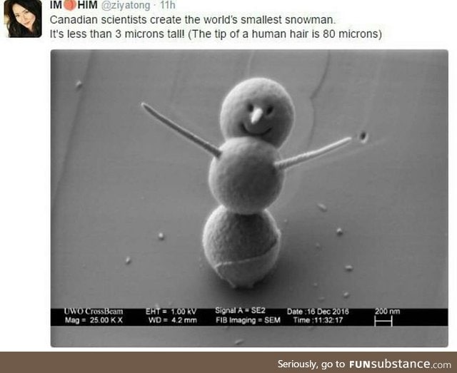 Micron snowman