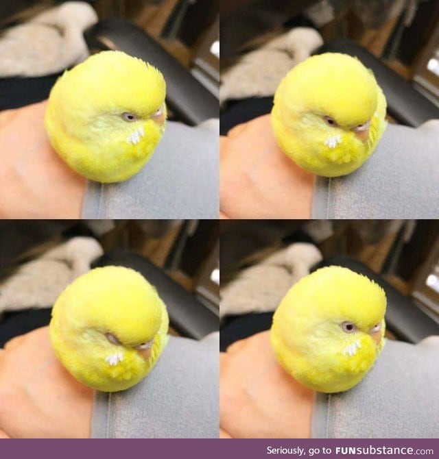 There is something wrong with my tennis ball