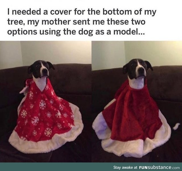 What can't dogs do?