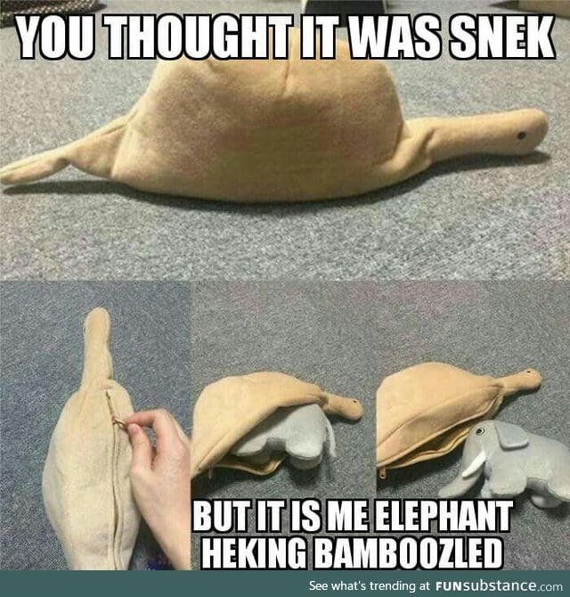 Heking bamboozled