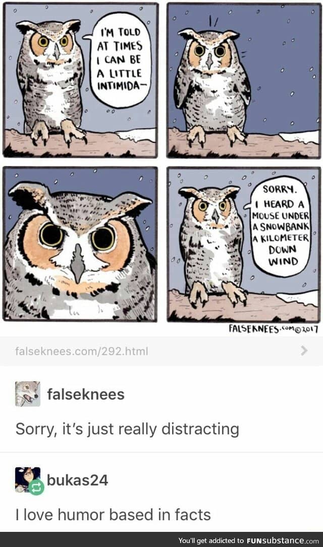 Owls