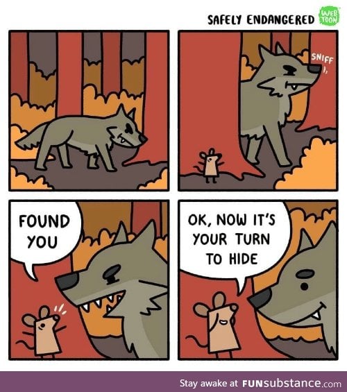 Big nice wolf