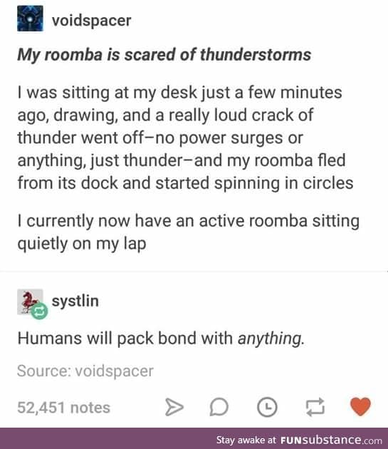 Poor Roomba