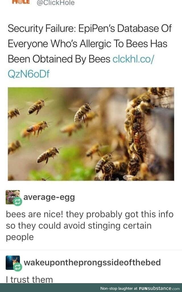 I trust the bees with my data