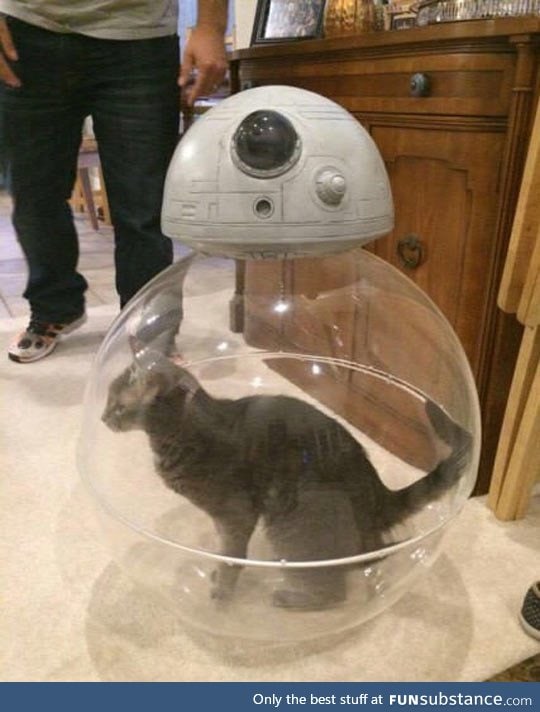 Inside bb-8
