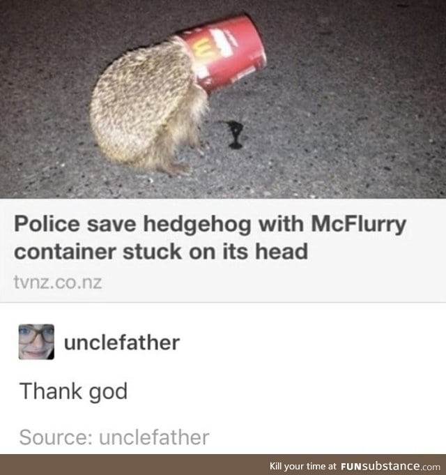 Animals need us