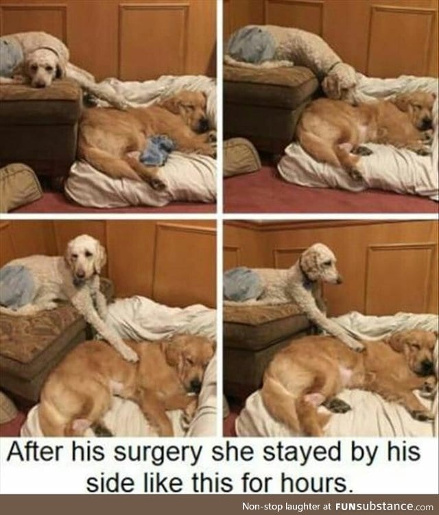 That's what friends are for.