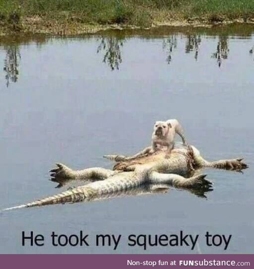 Now you get a leather toy