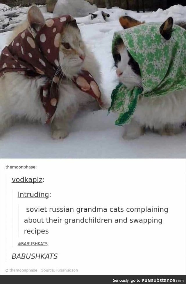 They saw the chance and they took it