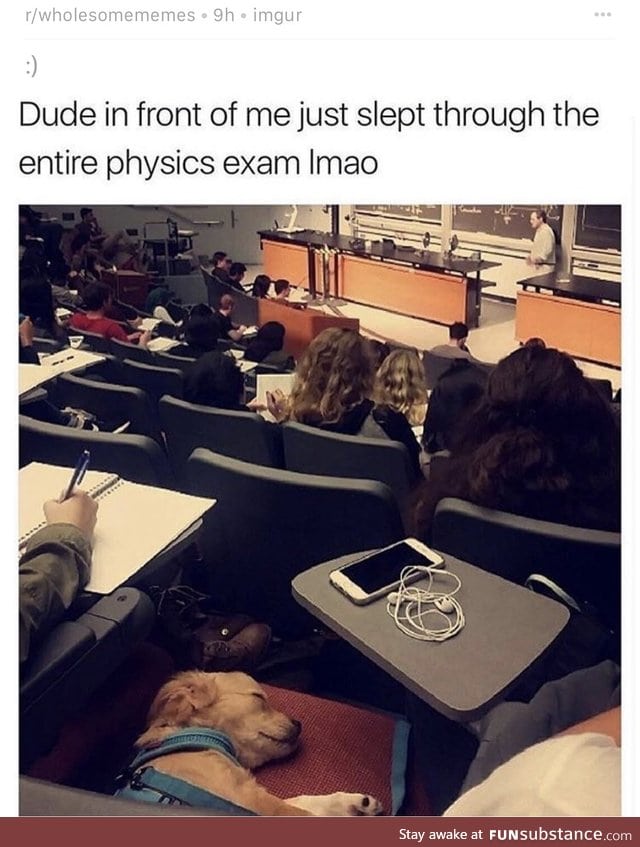 I bet he did pretty well in lab, though