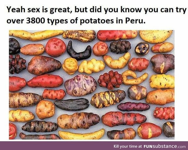Sexy potatoes