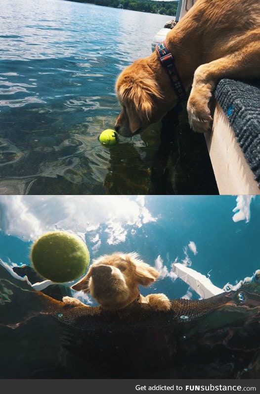 Perspective