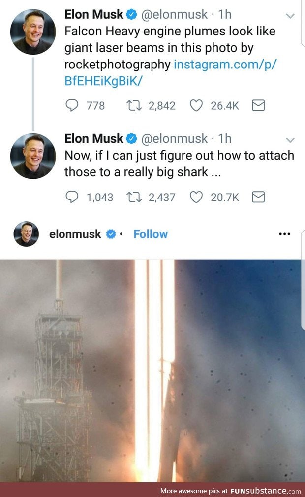 The names musk, elon musk