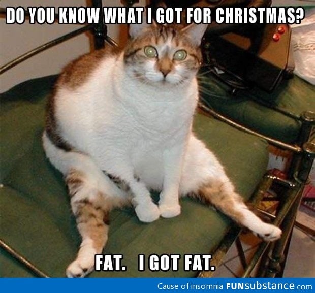Story of my christmases