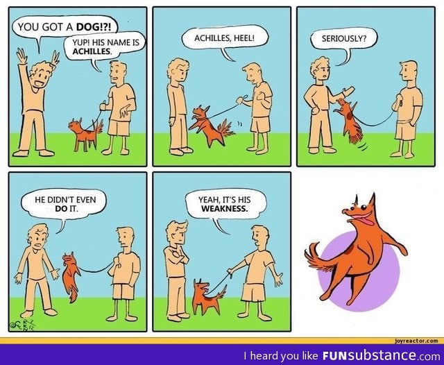 Dog named Achilles